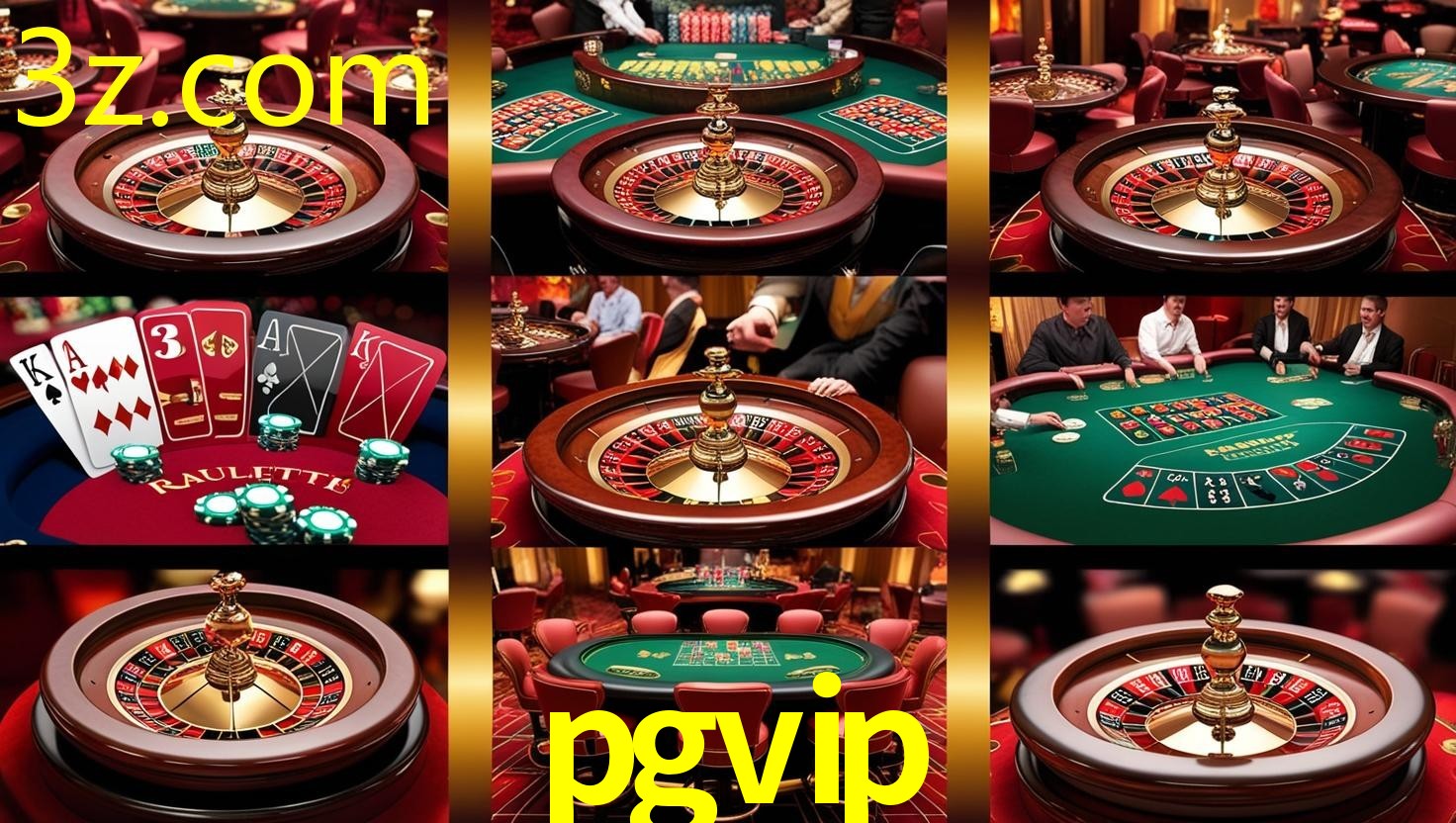 PGVIP.COM