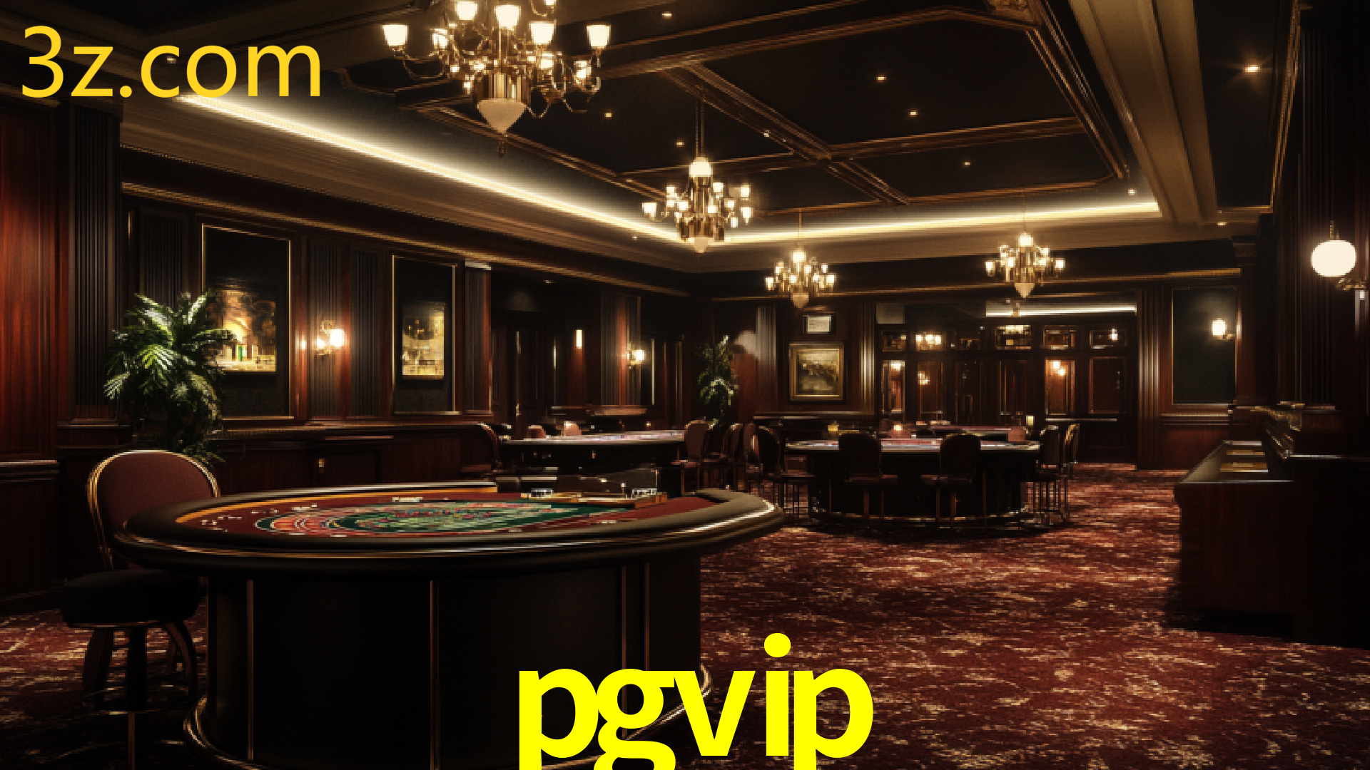 PGVIP.COM